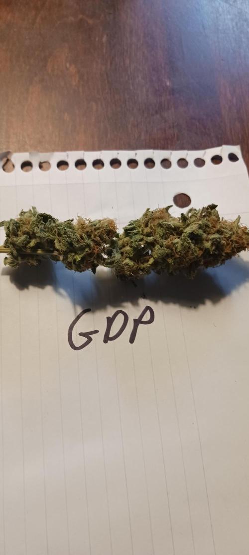 Fall Winter 2025. Week 15