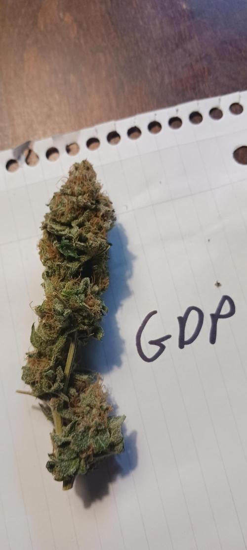 Fall Winter 2025. Week 15