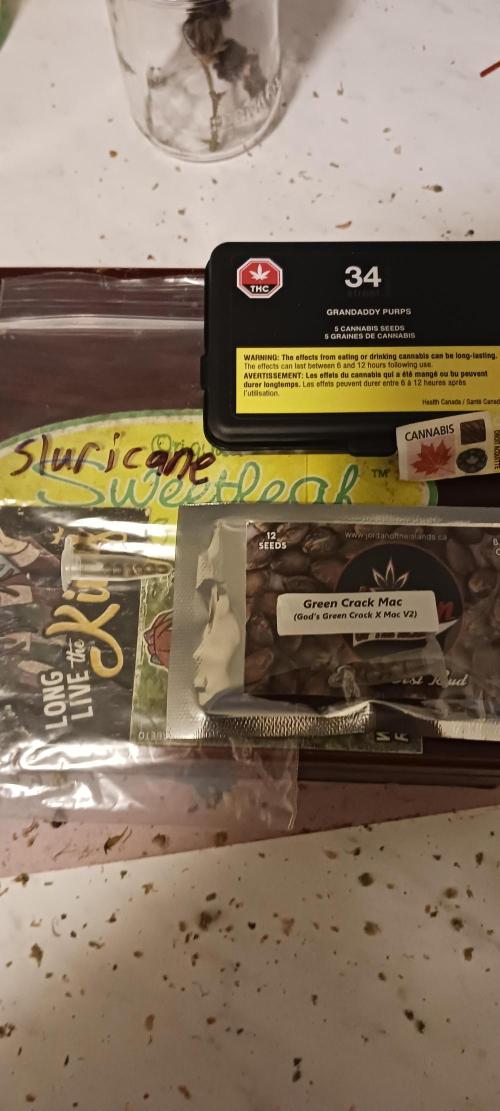 Winter-Spring 2026. Week 0