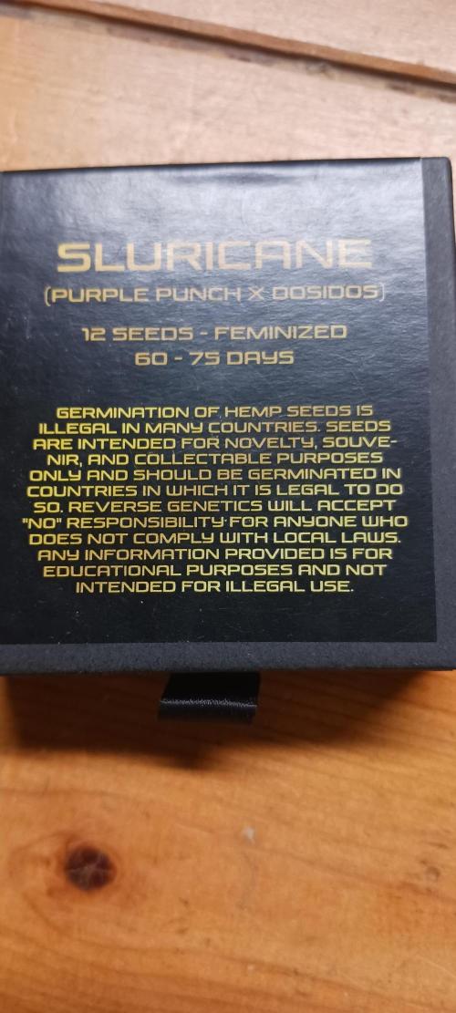 Winter-Spring 2026. Week 0