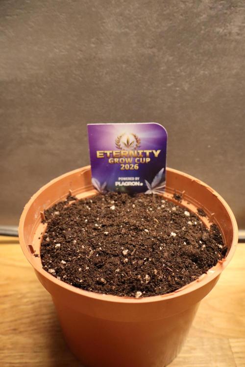 Eternity Grow Cup 2026. Week 0