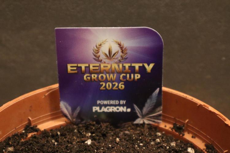 Eternity Grow Cup 2026. Week 0