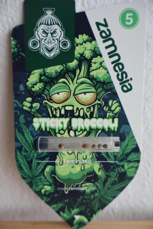 Eternity Grow Cup 2026. Week 0 - Thanks Zamnesia for providing the beans