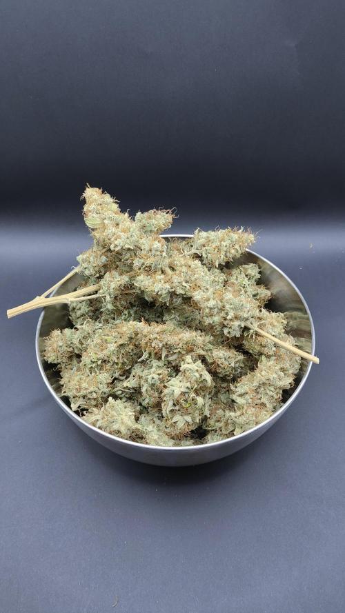 Eternity Grow Cup 2026. Week 18