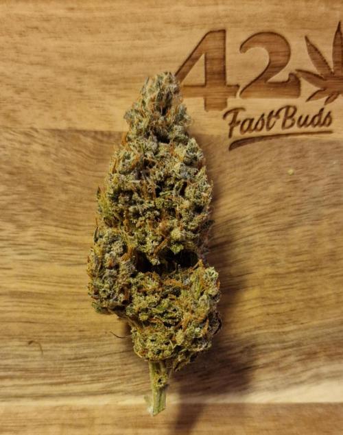 Lemon Cherry Runtz (Indoor) FastBuds. Week 9