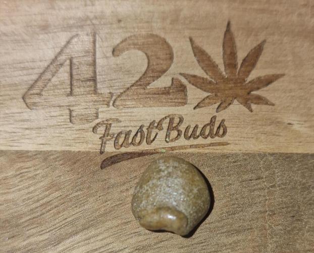Lemon Cherry Runtz (Indoor) FastBuds. Week 9
