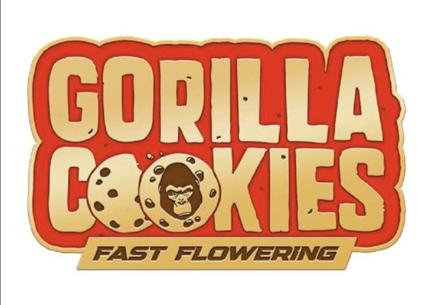 Gorilla Cookies FF | Fastbuds. Week 0