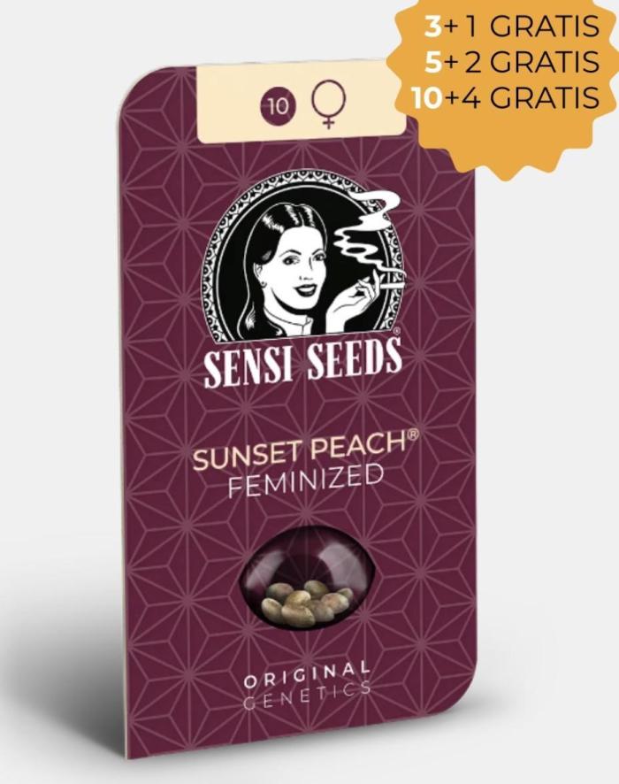 Sunset Peach | Sensi Seeds. Week 0
