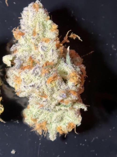 Platinum Chimera Breath 16