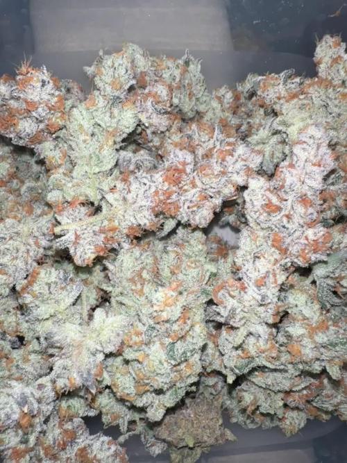 Platinum Chimera Breath 16