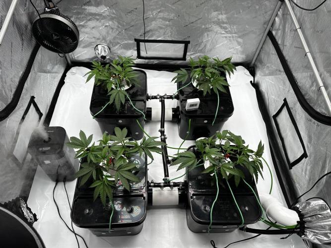 Blue Zushi. Week 2 - Gorgeous. 😍 