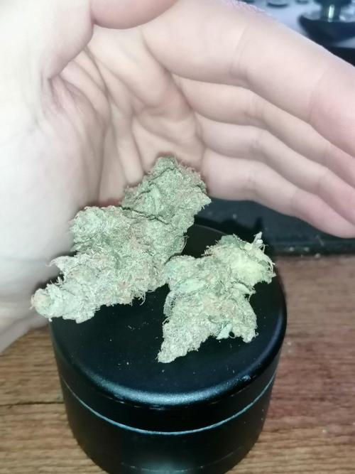 Critical. Week 14