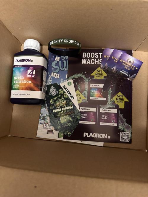 Sticky Broccoli/Eternity Grow Cup 2026. Week 0