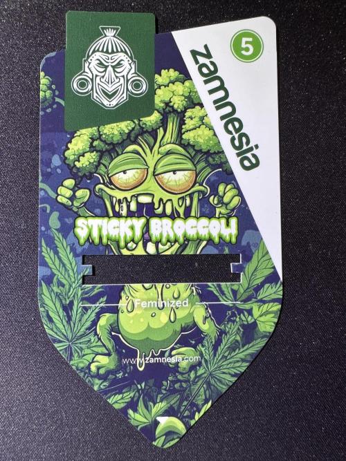 Sticky Broccoli/Eternity Grow Cup 2026. Week 0