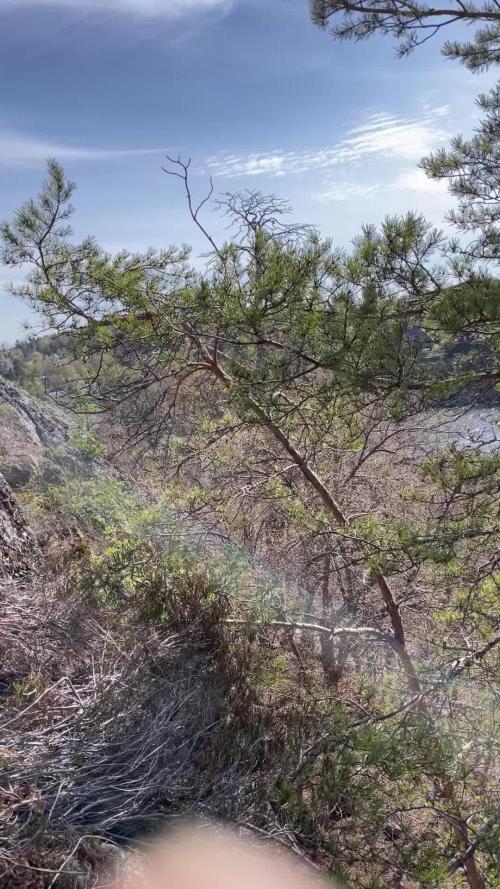 Rocky Outdoor Projekt 1 Mimosa Auto RQS