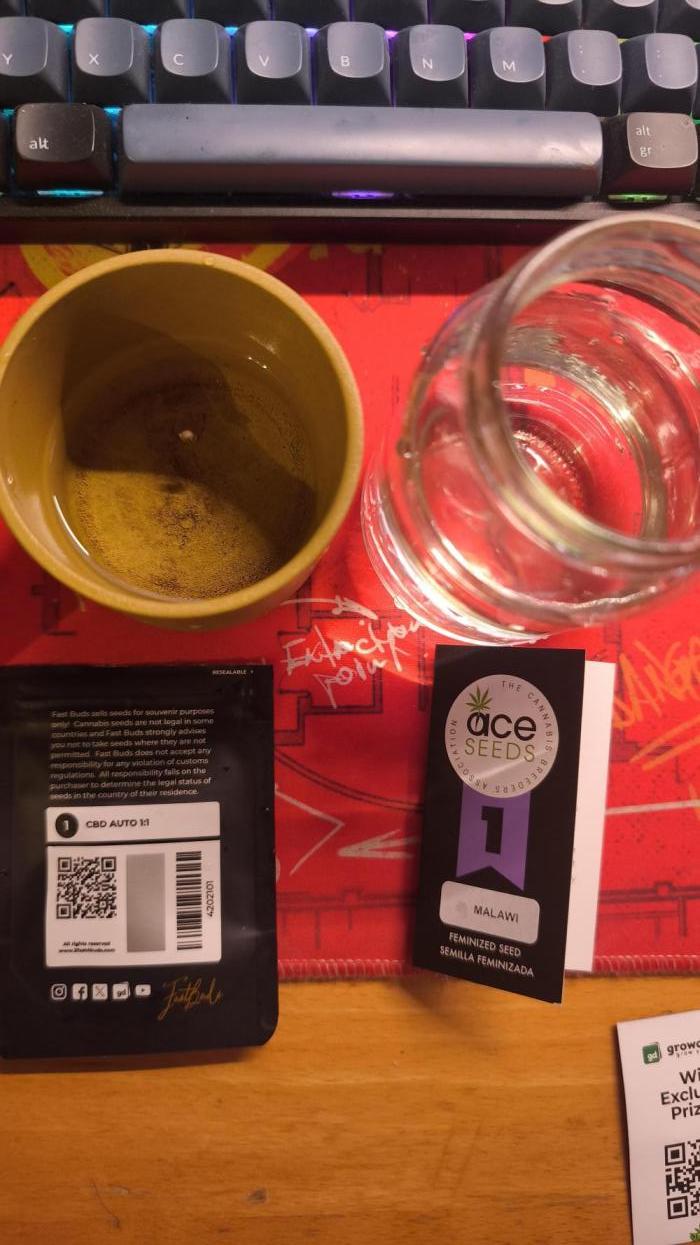 Pure Sativa Landrace. Week 0