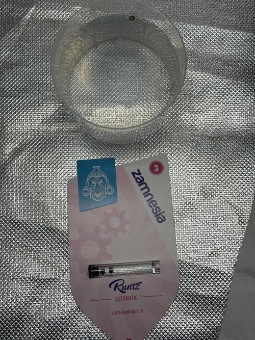 2026 - 3. Week 0 - 05.02 - Seed germinating in ~1% Hydrogen Peroxide.
