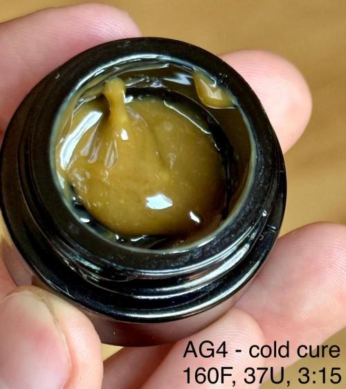 Irie Genetics - Afterglow in Living Soil. Week 21