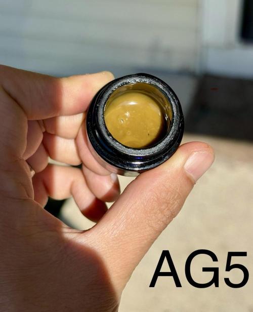 Irie Genetics - Afterglow in Living Soil. Week 21