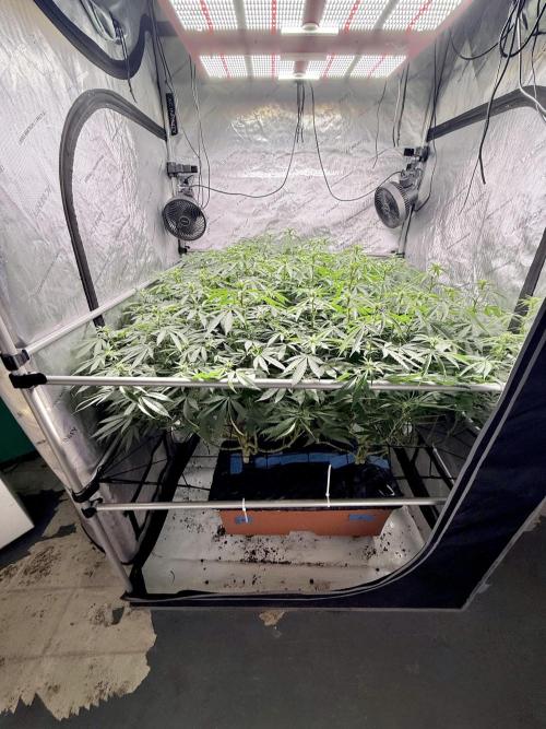 Twenty20 Mendocino - Snowday. Week 15