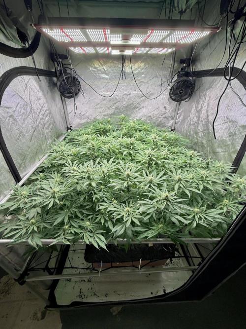 Twenty20 Mendocino - Snowday. Week 16