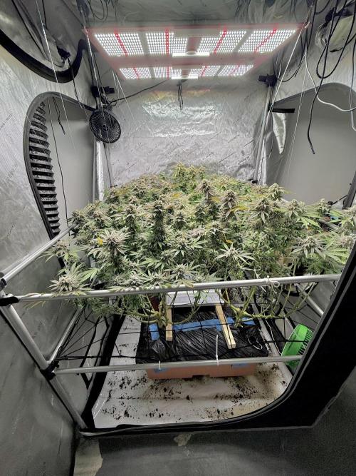 Twenty20 Mendocino - Snowday. Week 21