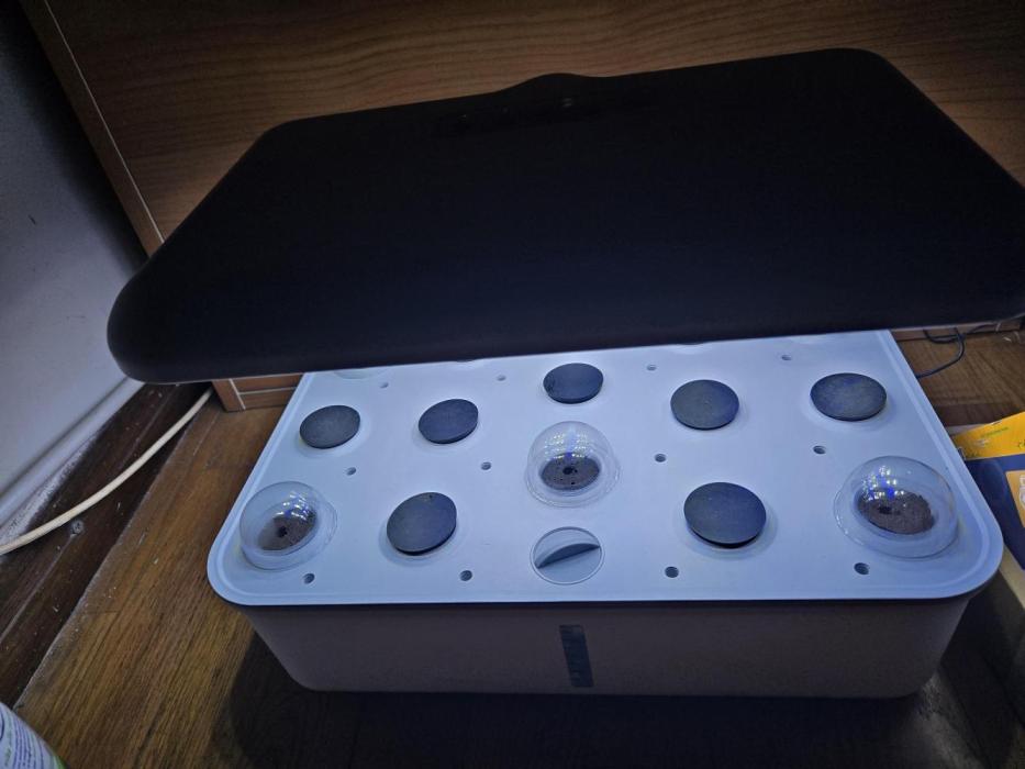 Djanpy Hydroponic. Week 0