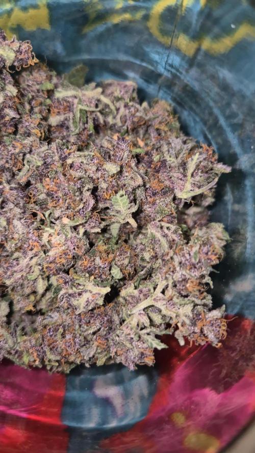 Second grow Fastbuds Mixed auto #3#4
