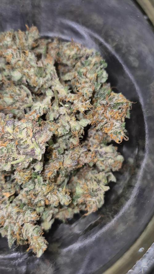 Fourth grow Fastbuds Mixed auto #8