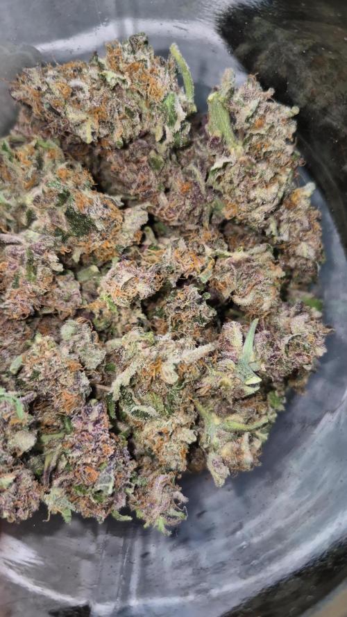 Third grow FASTBUDS Mixed auto #7