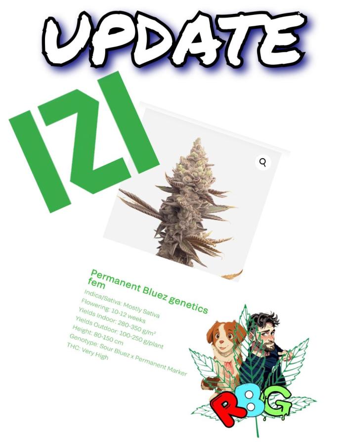 Permanent Bluez RDWC. Week 0