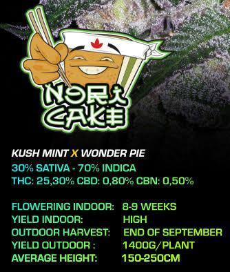 Nori cake ( RDWC ). Week 0