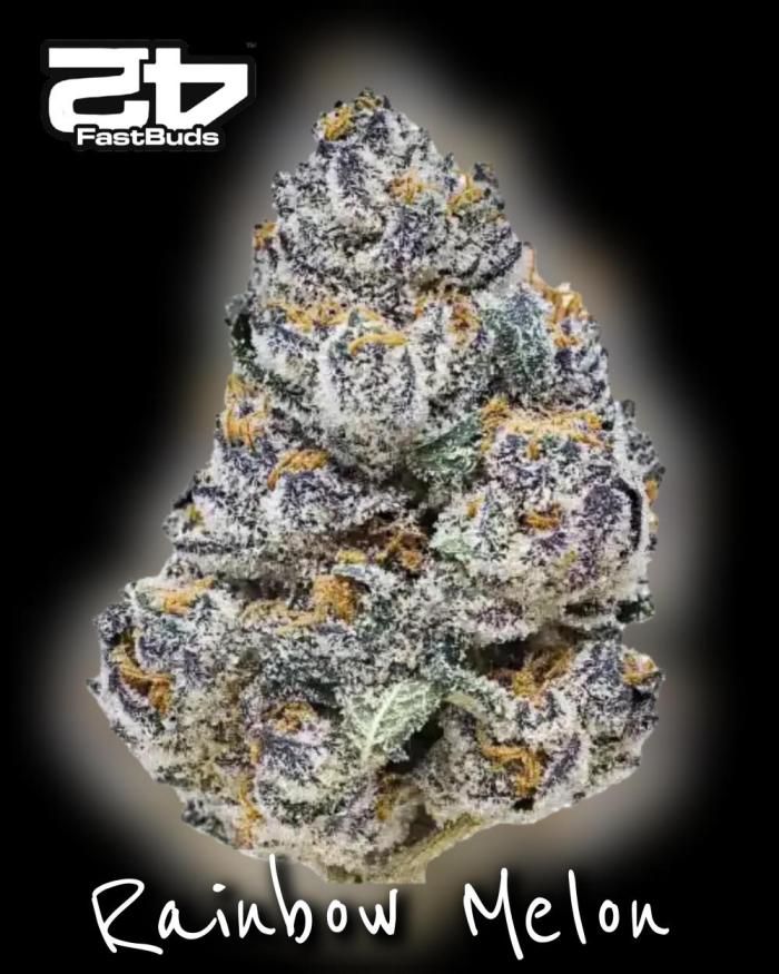 Rainbow Melon ( RDWC ). Week 0