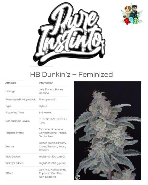 HB Dunkin'z ( RDWC ). Week 0 - Germination 19/1/26