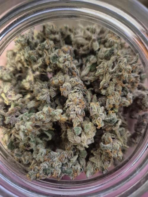 HB Dunkin'z ( RDWC ). Week 19