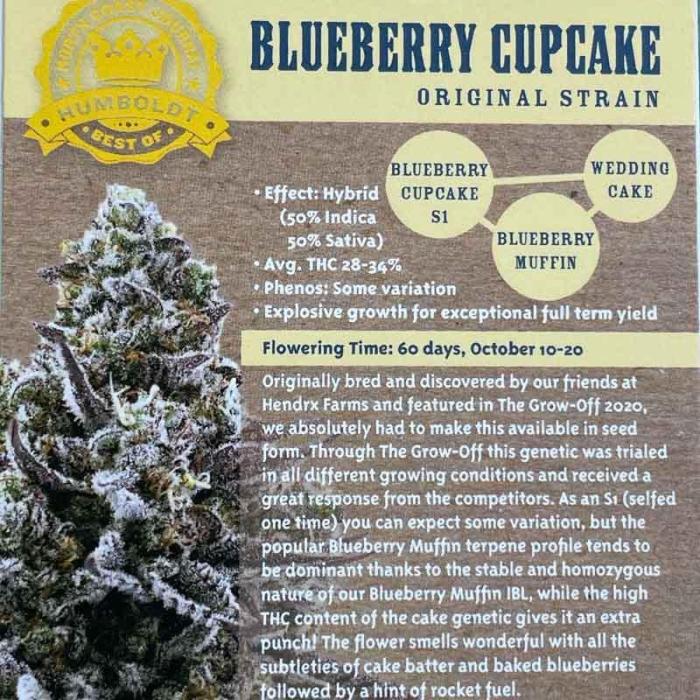 Blueberry cupcake RDWC. Week 0