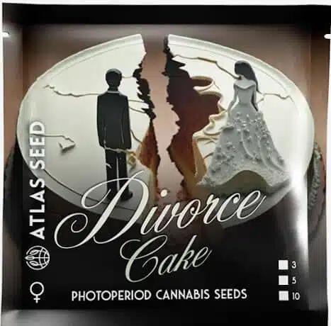 Divorce Cake RDWC. Week 0