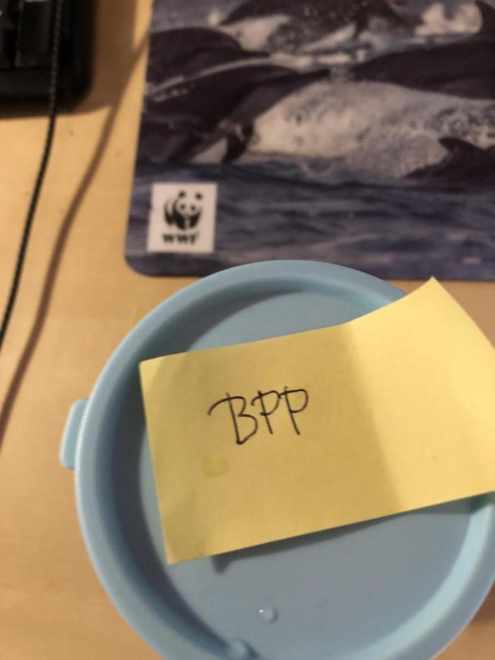 Banana Purple Punch Auto by FastBuds. Week 0 - Let’s a go! 