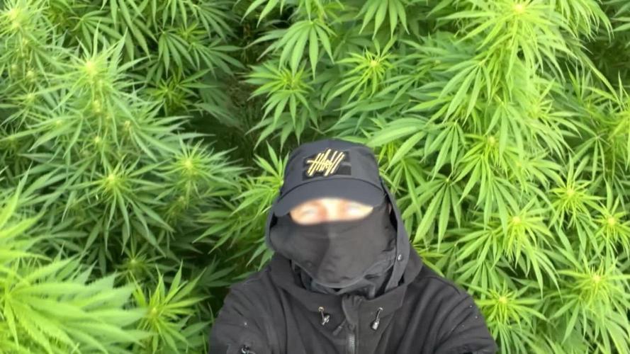 Russian Guerrilla Outdoor Grow s2