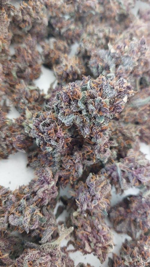 Purple Lemonade Auto RF3. Week 13