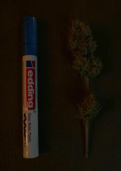 Three Items Of Broccoli - All Indica. Week 14