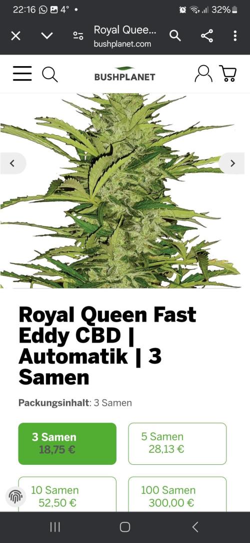 TaranTula. Week 0 - Marke & Sorte