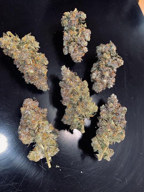 Grape Gas S1. Week 17
