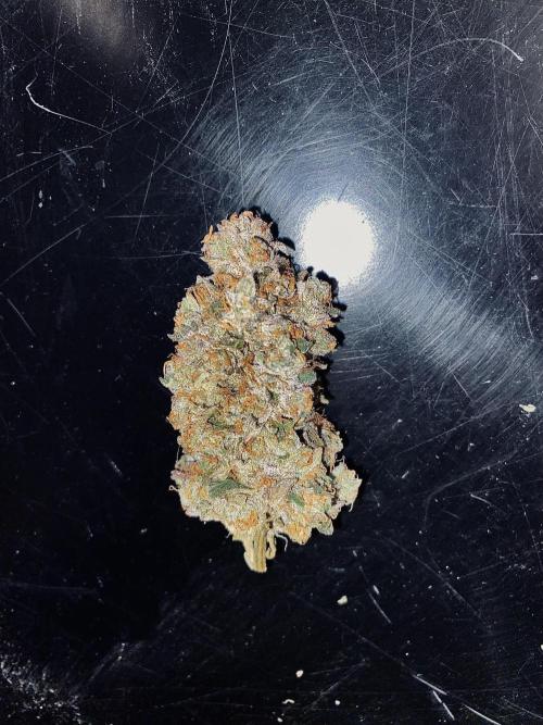 Grape Gas S1. Week 17