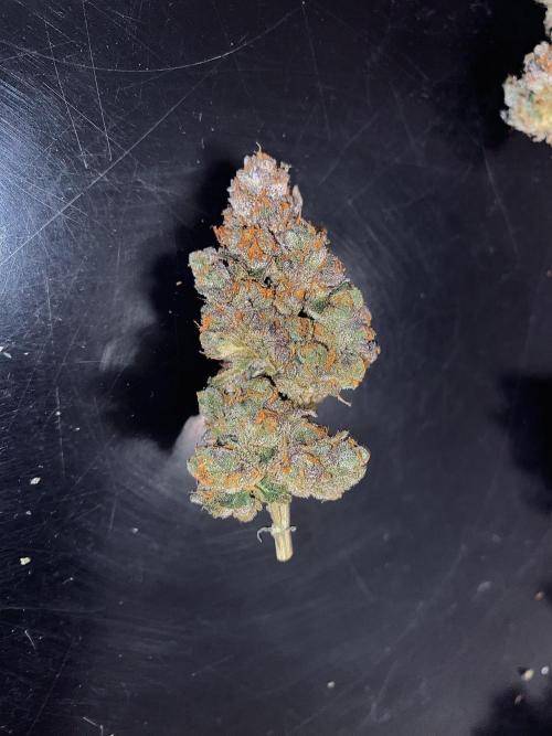 Grape Gas S1. Week 17