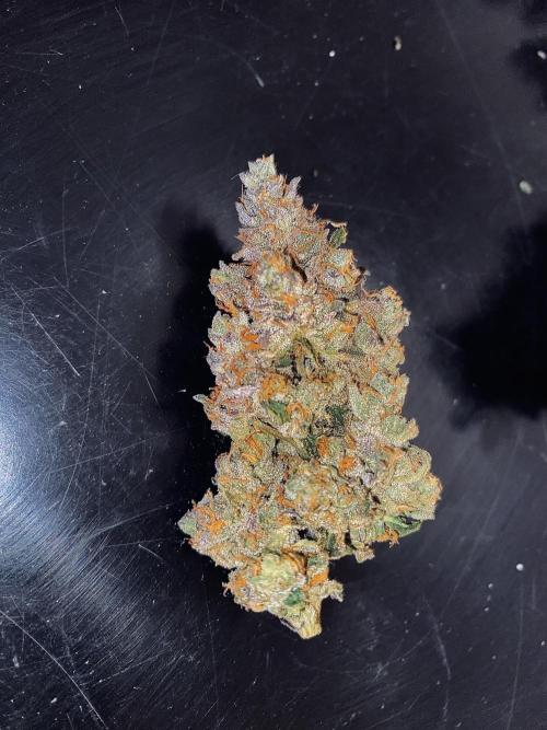 Grape Gas S1. Week 17