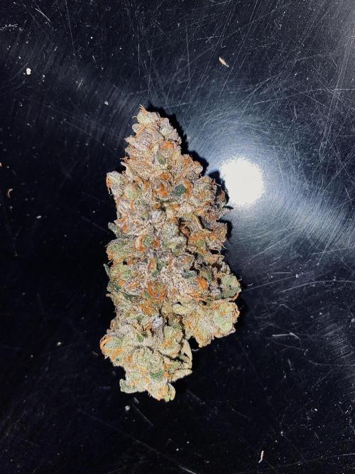 Grape Gas S1. Week 17