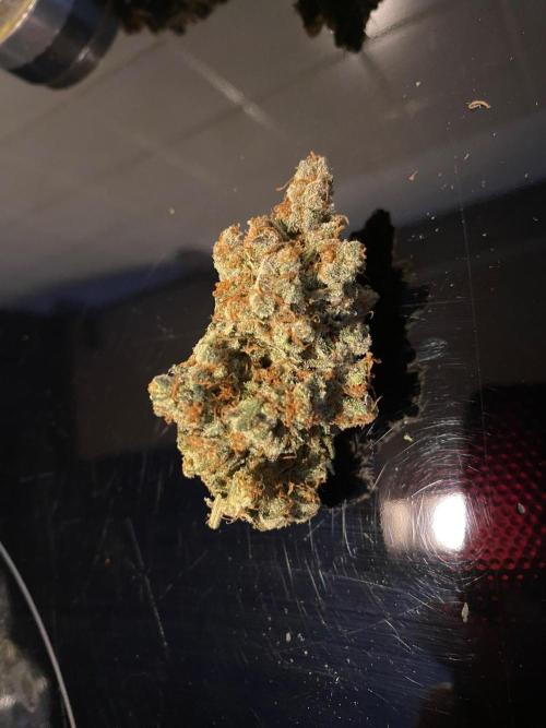 Gorilla coockies Pheno winner run. Week 19