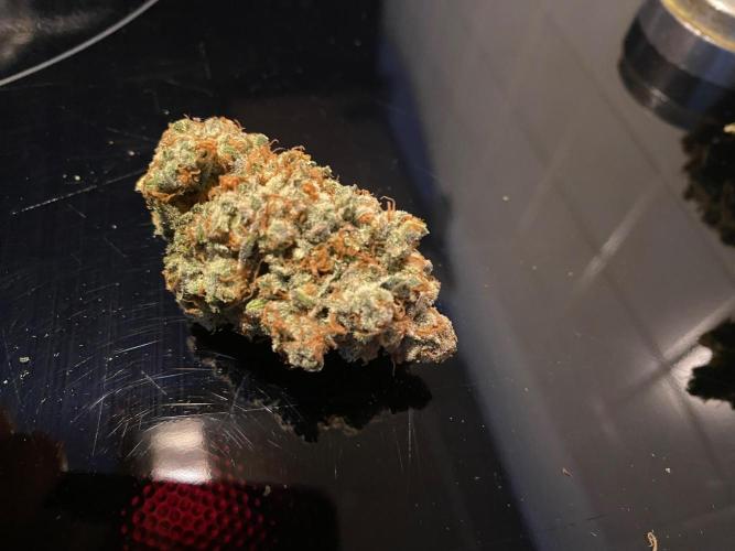 Gorilla coockies Pheno winner run. Week 19