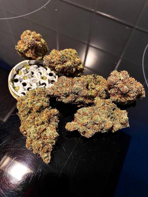 Gorilla coockies Pheno winner run. Week 19